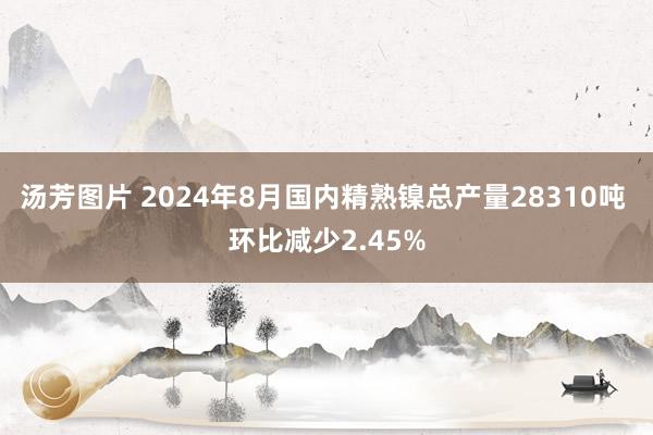 汤芳图片 2024年8月国内精熟镍总产量28310吨 环比减少2.45%