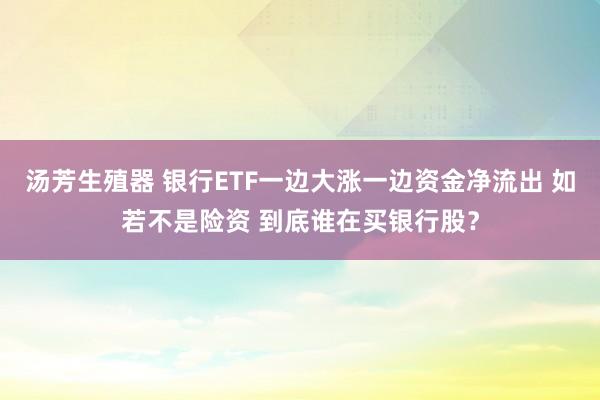 汤芳生殖器 银行ETF一边大涨一边资金净流出 如若不是险资 到底谁在买银行股？
