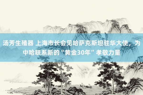 汤芳生殖器 上海市长会见哈萨克斯坦驻华大使，为中哈联系新的“黄金30年”孝敬力量