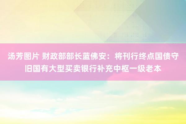 汤芳图片 财政部部长蓝佛安：将刊行终点国债守旧国有大型买卖银行补充中枢一级老本