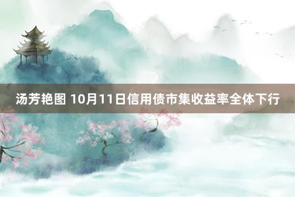 汤芳艳图 10月11日信用债市集收益率全体下行