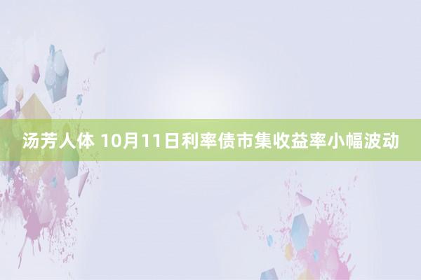 汤芳人体 10月11日利率债市集收益率小幅波动