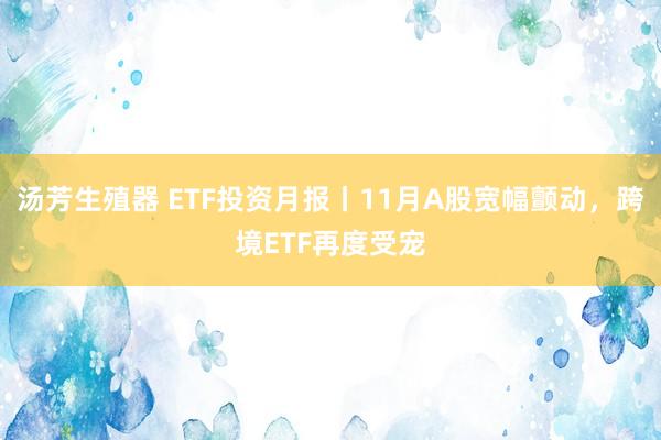 汤芳生殖器 ETF投资月报丨11月A股宽幅颤动，跨境ETF再度受宠