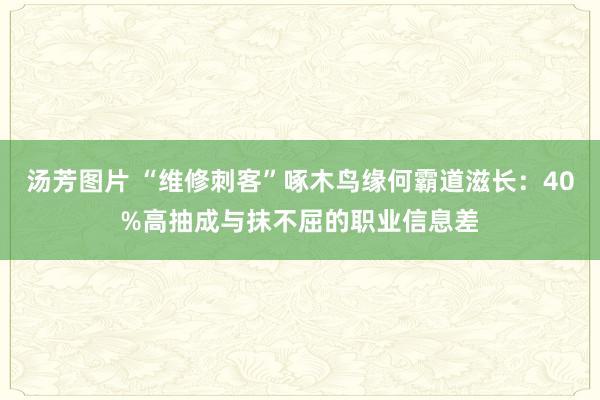 汤芳图片 “维修刺客”啄木鸟缘何霸道滋长：40%高抽成与抹不屈的职业信息差