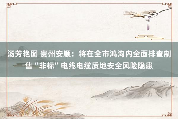 汤芳艳图 贵州安顺：将在全市鸿沟内全面排查制售“非标”电线电缆质地安全风险隐患