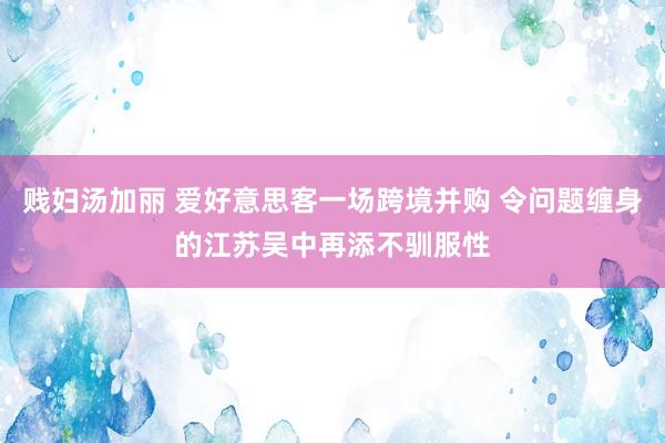 贱妇汤加丽 爱好意思客一场跨境并购 令问题缠身的江苏吴中再添不驯服性