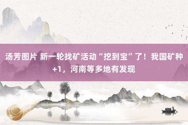 汤芳图片 新一轮找矿活动“挖到宝”了！我国矿种+1，河南等多地有发现