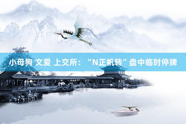 小母狗 文爱 上交所：“N正帆转”盘中临时停牌